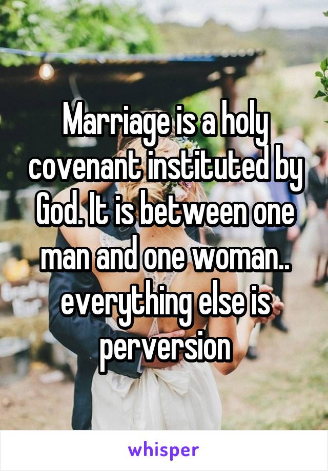 Marriage is a holy covenant instituted by God. It is between one man and one woman.. everything else is perversion