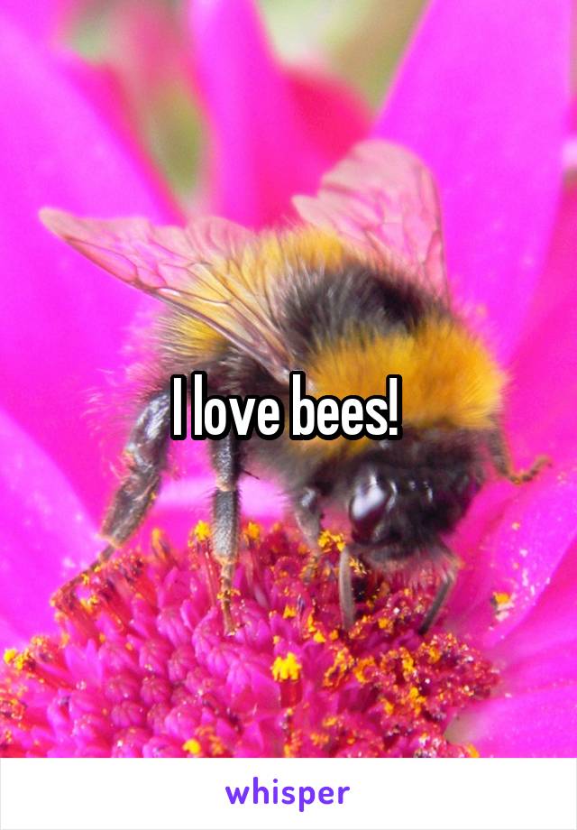 I love bees! 