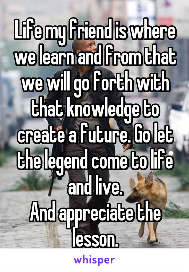 Life my friend is where we learn and from that we will go forth with that knowledge to create a future. Go let the legend come to life and live.
And appreciate the lesson.