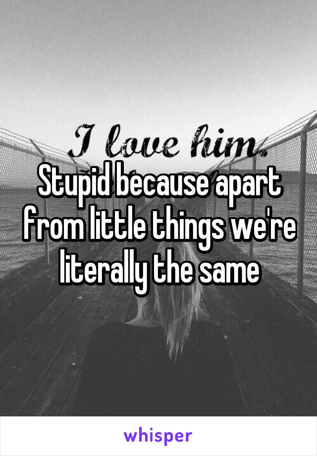 Stupid because apart from little things we're literally the same