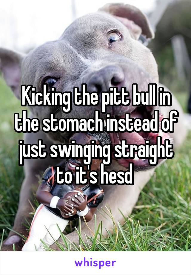 Kicking the pitt bull in the stomach instead of just swinging straight to it's hesd 