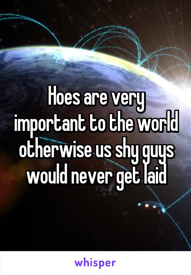 Hoes are very important to the world otherwise us shy guys would never get laid