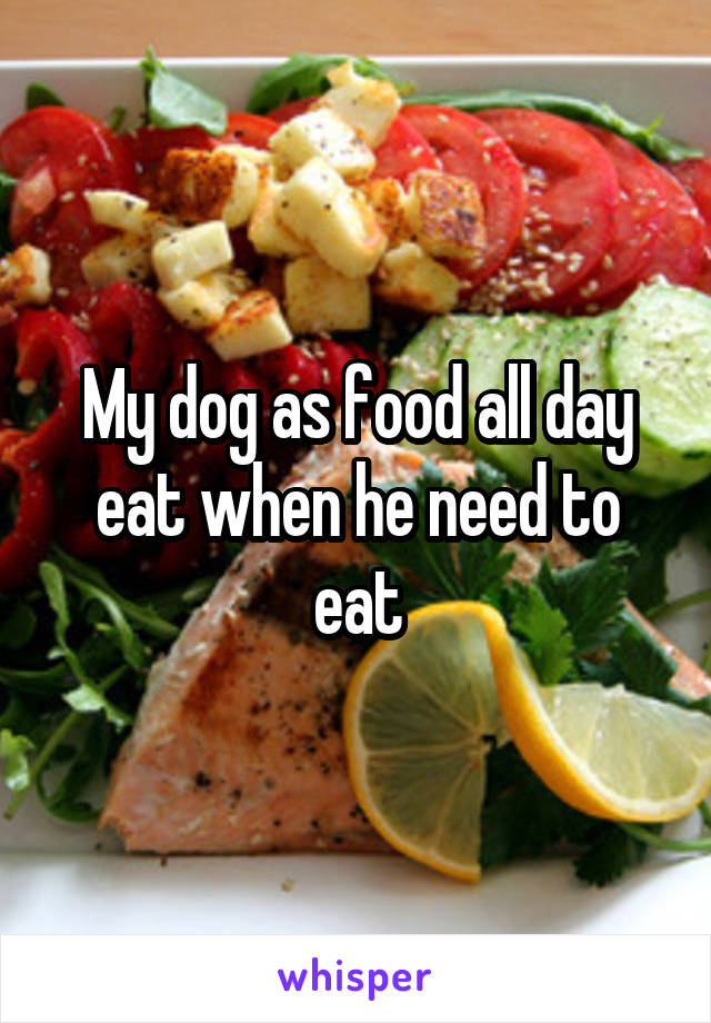 My dog as food all day eat when he need to eat