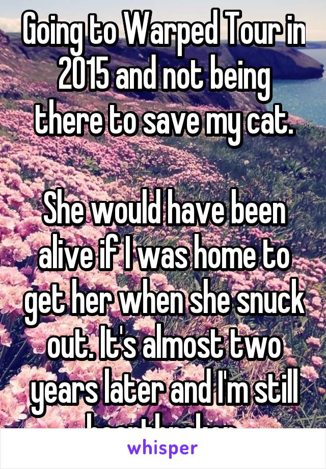 Going to Warped Tour in 2015 and not being there to save my cat.

She would have been alive if I was home to get her when she snuck out. It's almost two years later and I'm still heartbroken.