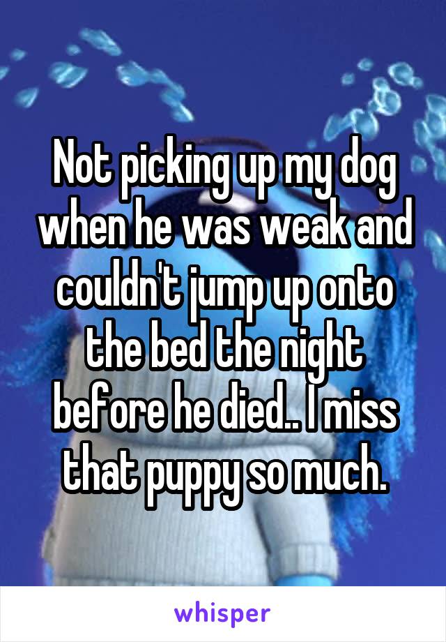 Not picking up my dog when he was weak and couldn't jump up onto the bed the night before he died.. I miss that puppy so much.