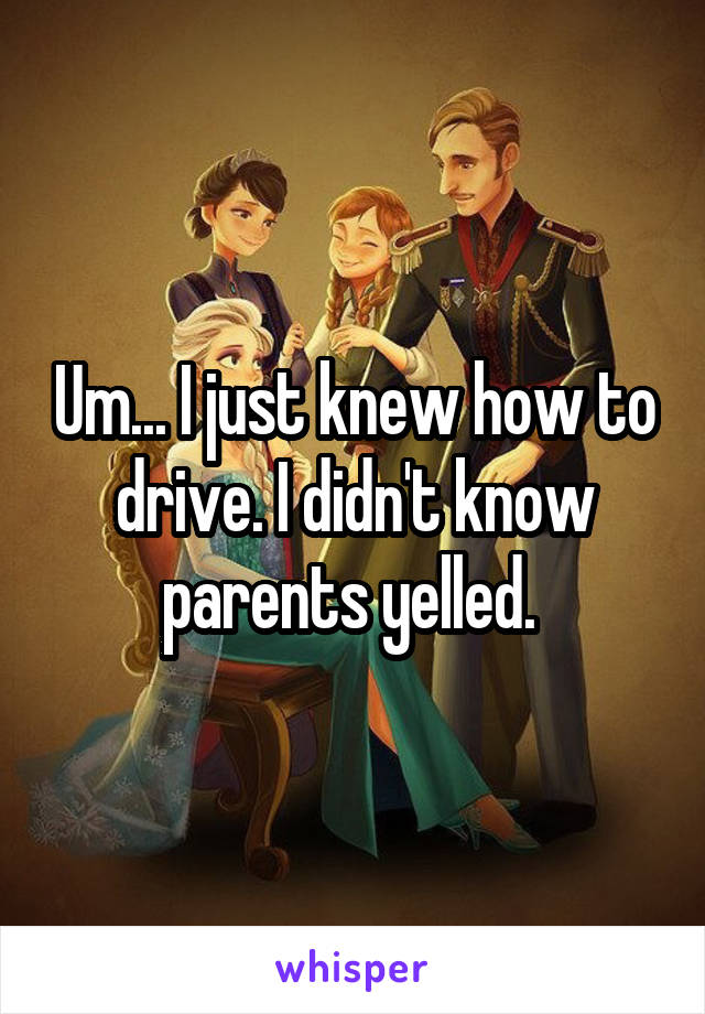 Um... I just knew how to drive. I didn't know parents yelled. 