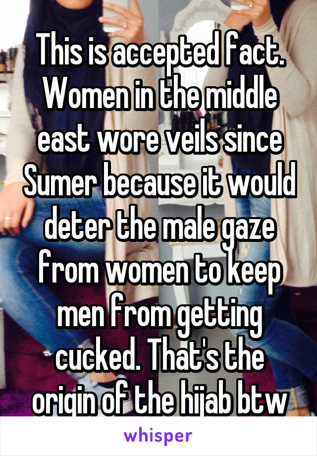 This is accepted fact. Women in the middle east wore veils since Sumer because it would deter the male gaze from women to keep men from getting cucked. That's the origin of the hijab btw