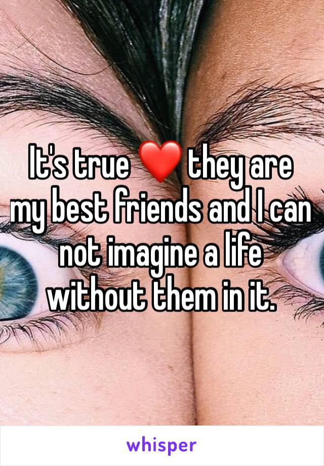 It's true ❤️ they are my best friends and I can not imagine a life without them in it. 