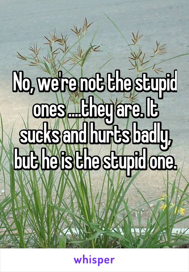 No, we're not the stupid ones ....they are. It sucks and hurts badly, but he is the stupid one. 