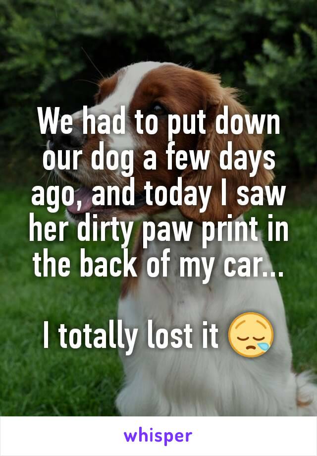 We had to put down our dog a few days ago, and today I saw her dirty paw print in the back of my car...

I totally lost it 😪