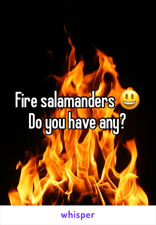 Fire salamanders 😃
Do you have any?