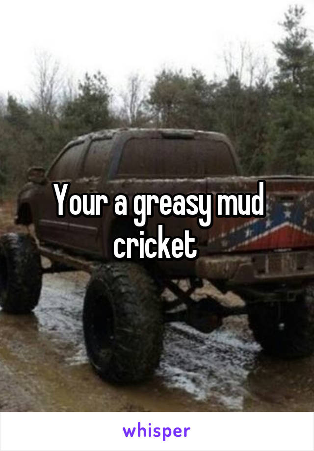 Your a greasy mud cricket 