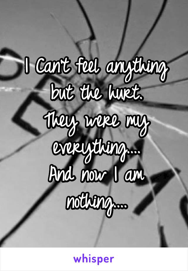 I Can't feel anything but the hurt.
They were my everything....
And now I am nothing....