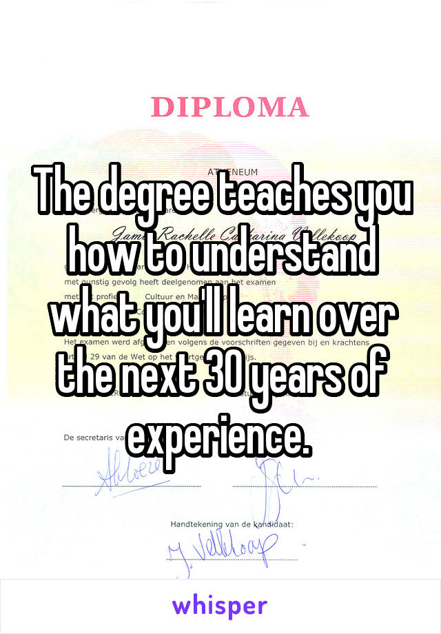 The degree teaches you how to understand what you'll learn over the next 30 years of experience. 
