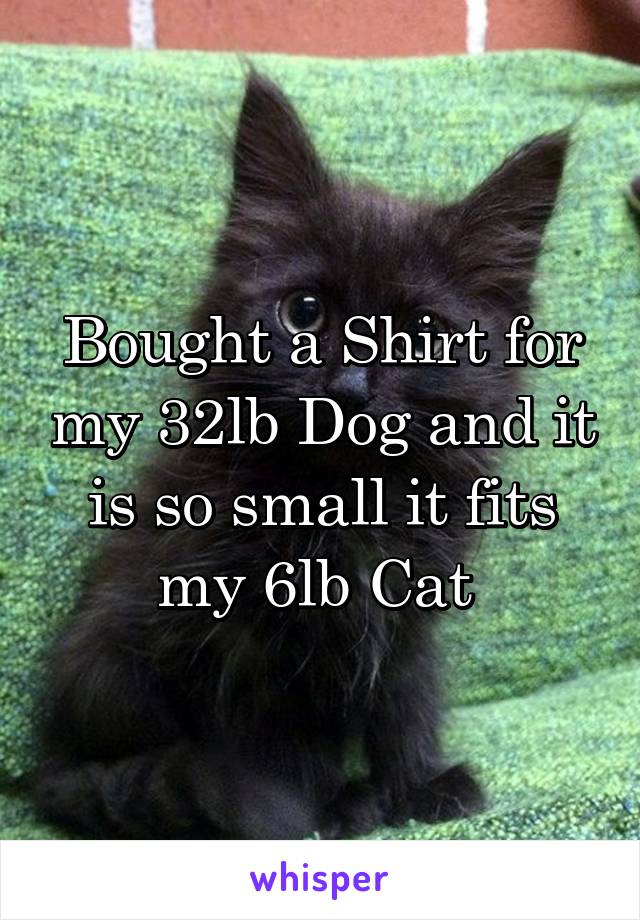 Bought a Shirt for my 32lb Dog and it is so small it fits my 6lb Cat 