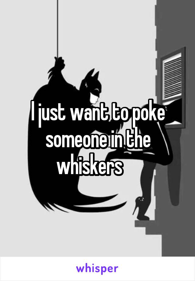 I just want to poke someone in the whiskers     