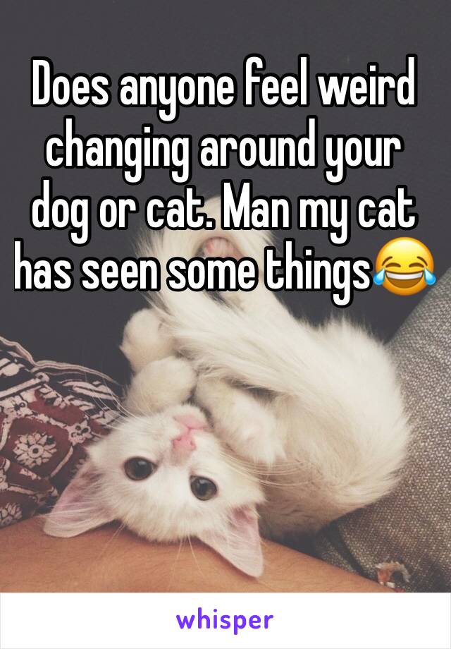 Does anyone feel weird changing around your dog or cat. Man my cat has seen some things😂