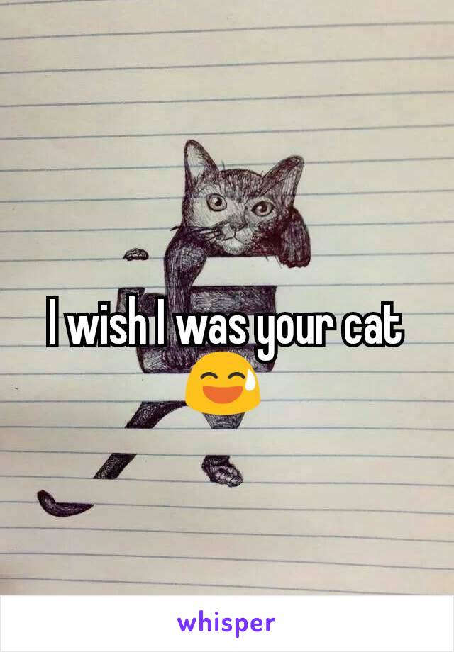 I wish I was your cat 😅 