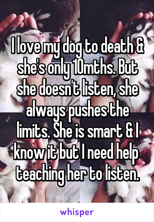 I love my dog to death & she's only 10mths. But she doesn't listen, she always pushes the limits. She is smart & I know it but I need help  teaching her to listen.