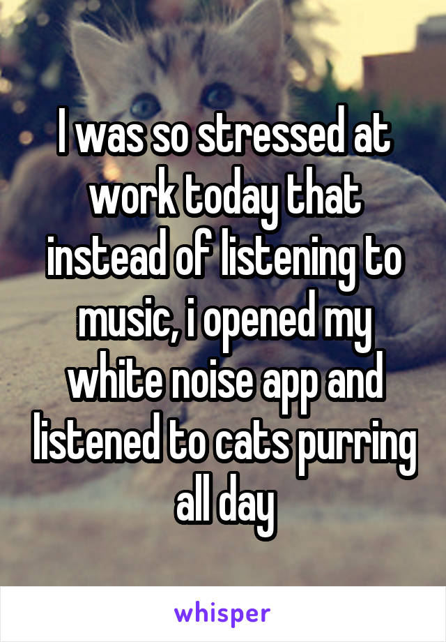 I was so stressed at work today that instead of listening to music, i opened my white noise app and listened to cats purring all day