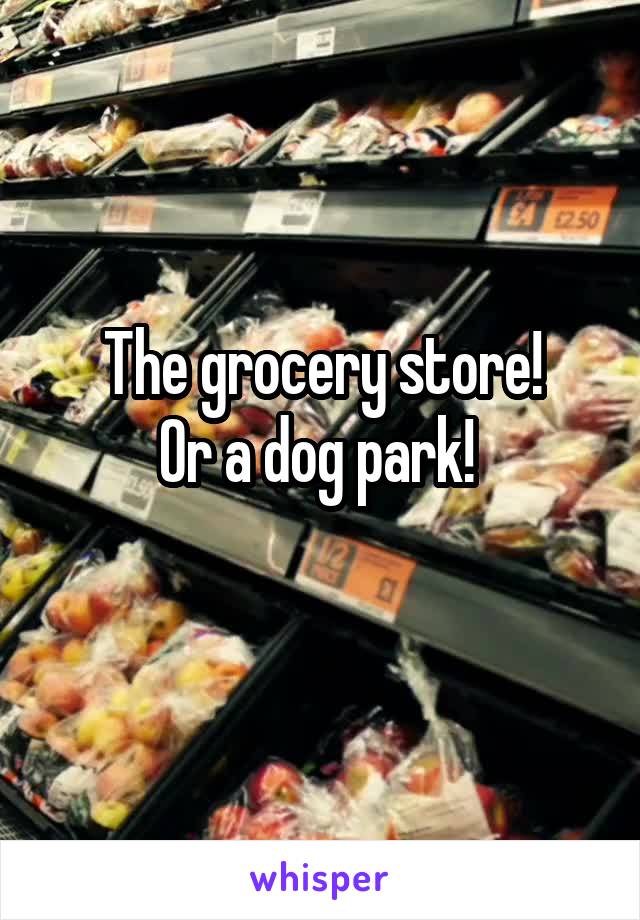 The grocery store!
Or a dog park! 
