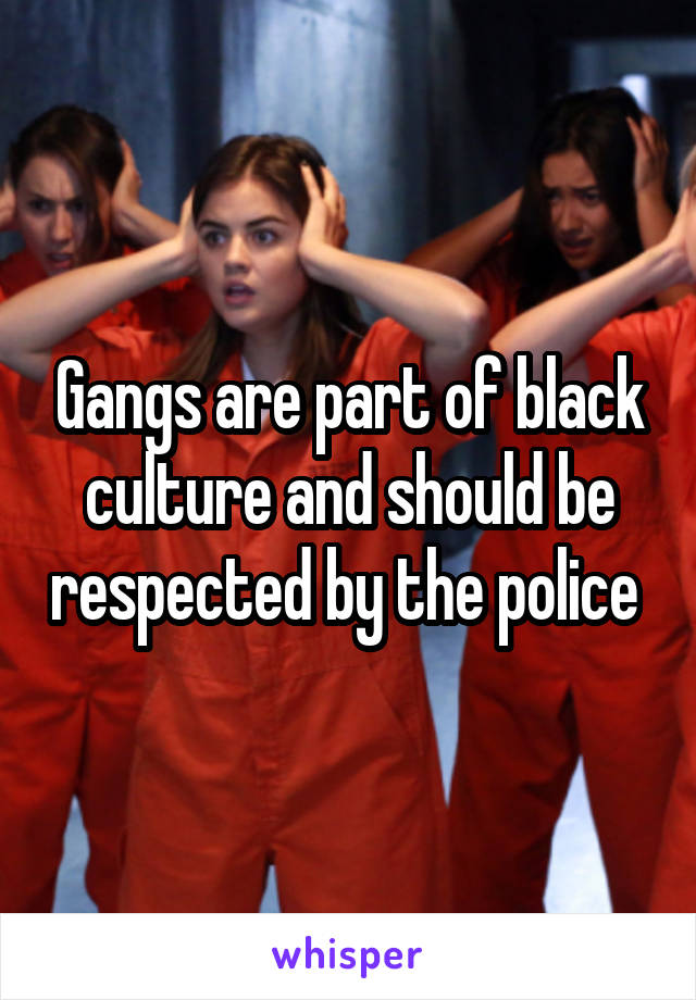Gangs are part of black culture and should be respected by the police 