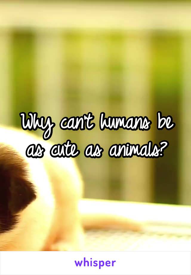 Why can't humans be as cute as animals?
