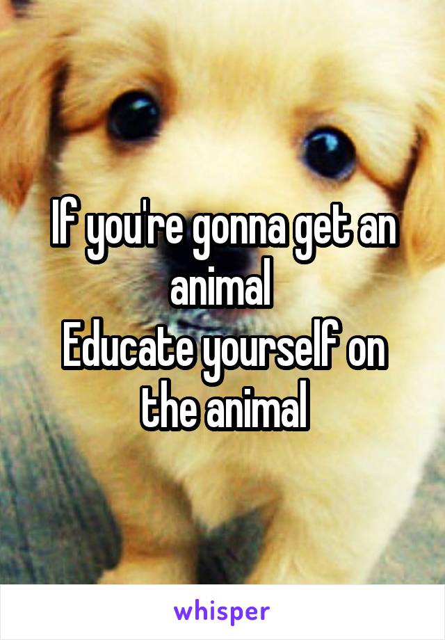 If you're gonna get an animal 
Educate yourself on the animal