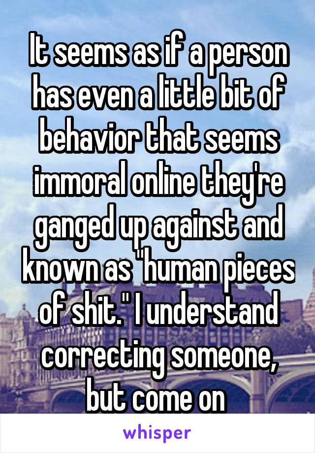 It seems as if a person has even a little bit of behavior that seems immoral online they're ganged up against and known as "human pieces of shit." I understand correcting someone, but come on 