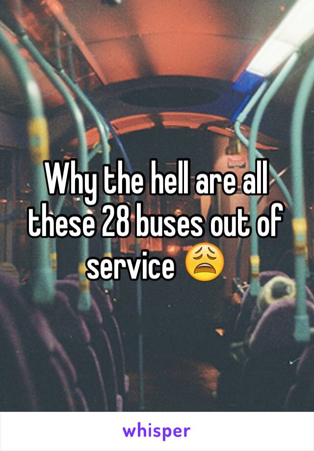 Why the hell are all these 28 buses out of service 😩