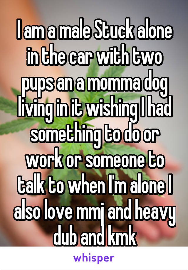 I am a male Stuck alone in the car with two pups an a momma dog living in it wishing I had something to do or work or someone to talk to when I'm alone I also love mmj and heavy dub and kmk