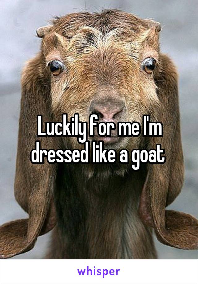 Luckily for me I'm dressed like a goat 