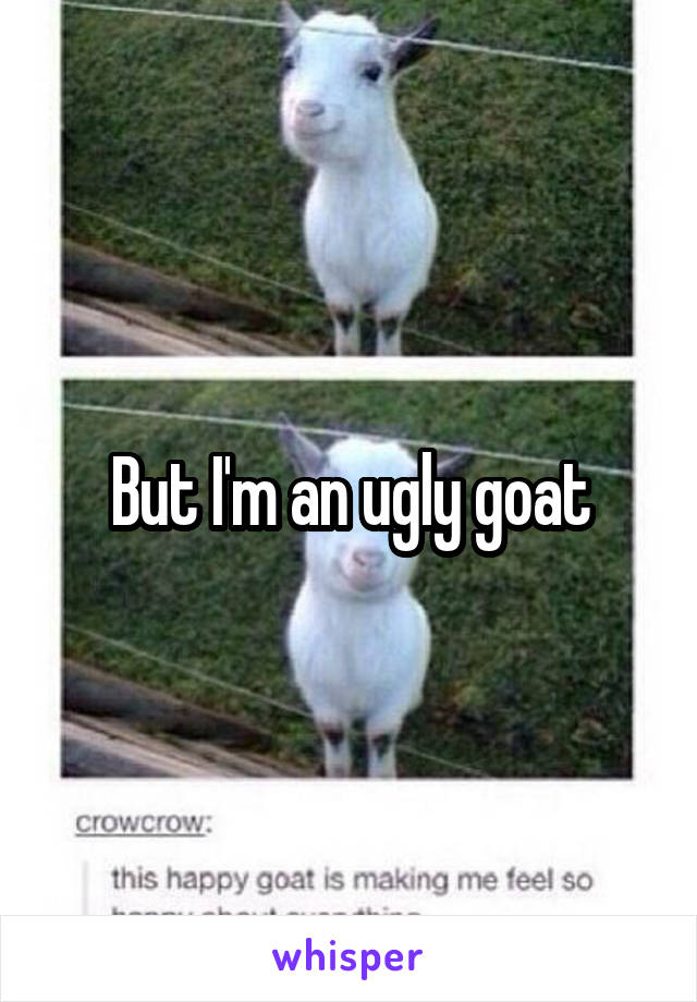 But I'm an ugly goat