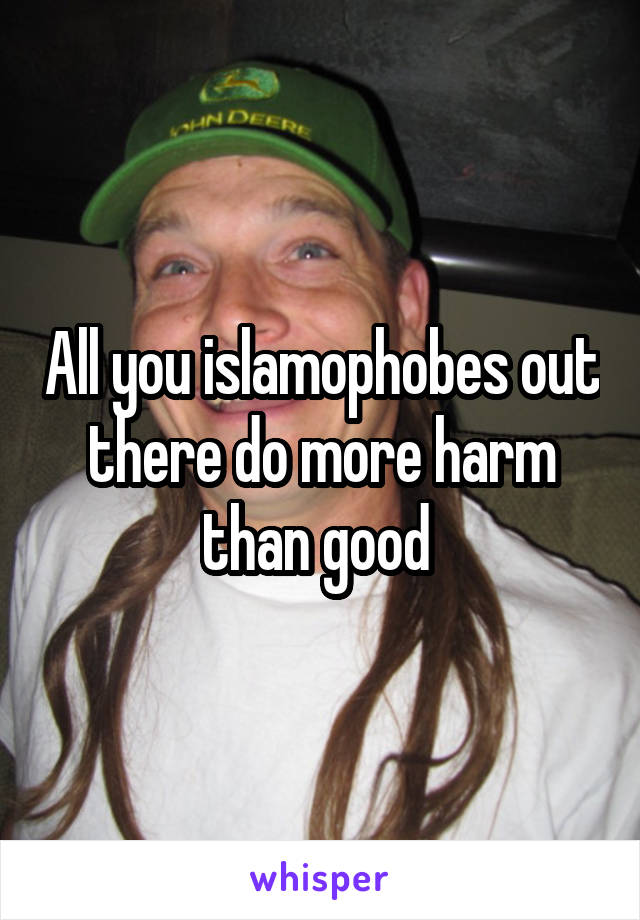 All you islamophobes out there do more harm than good 