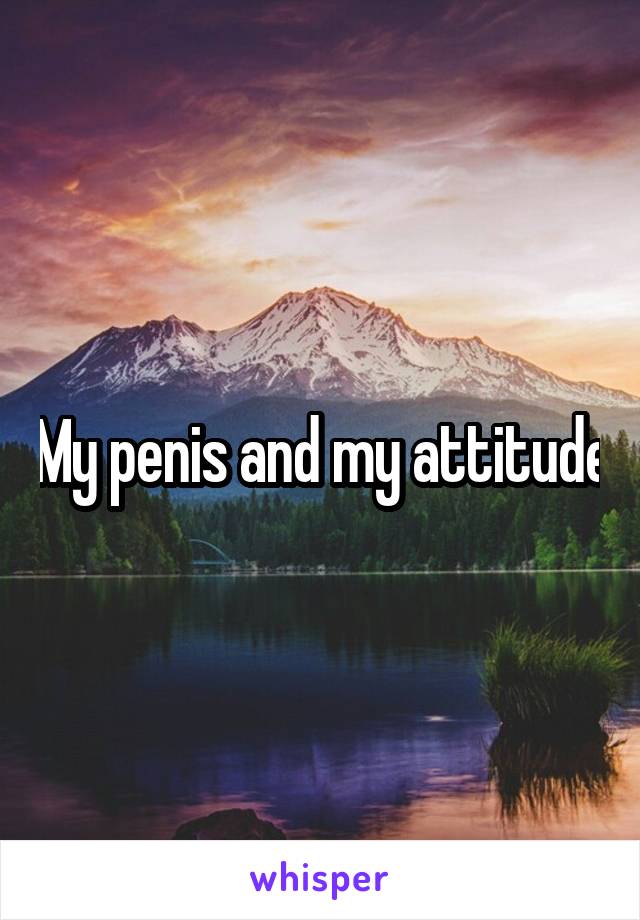 My penis and my attitude