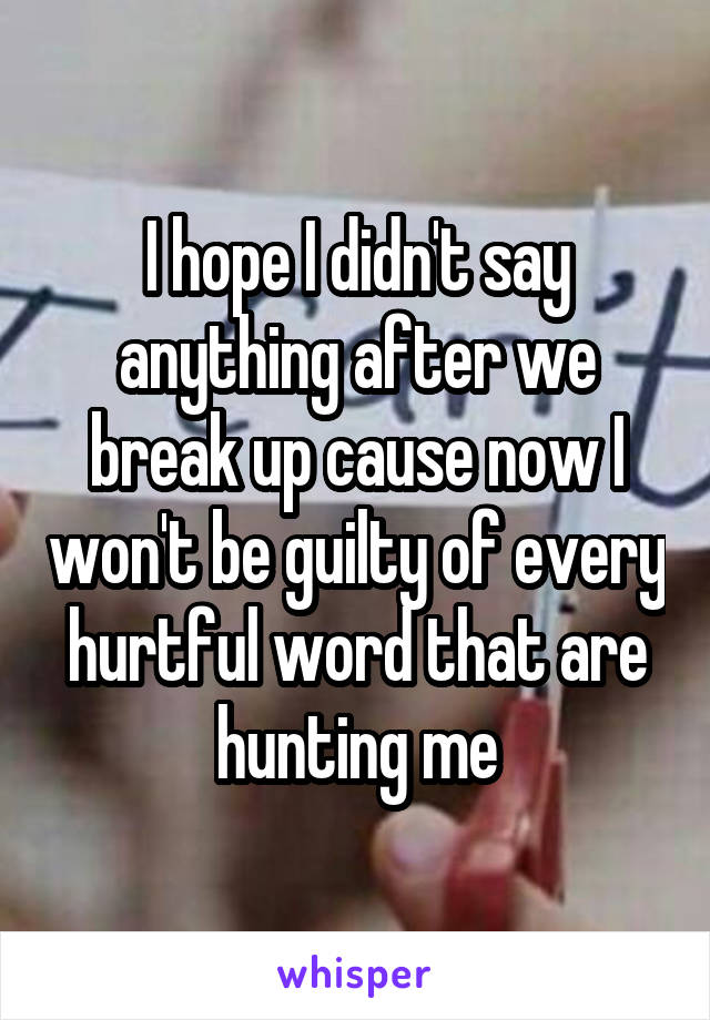 I hope I didn't say anything after we break up cause now I won't be guilty of every hurtful word that are hunting me
