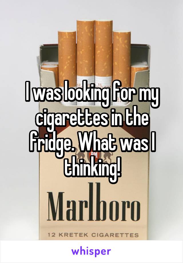  I was looking for my cigarettes in the fridge. What was I thinking!