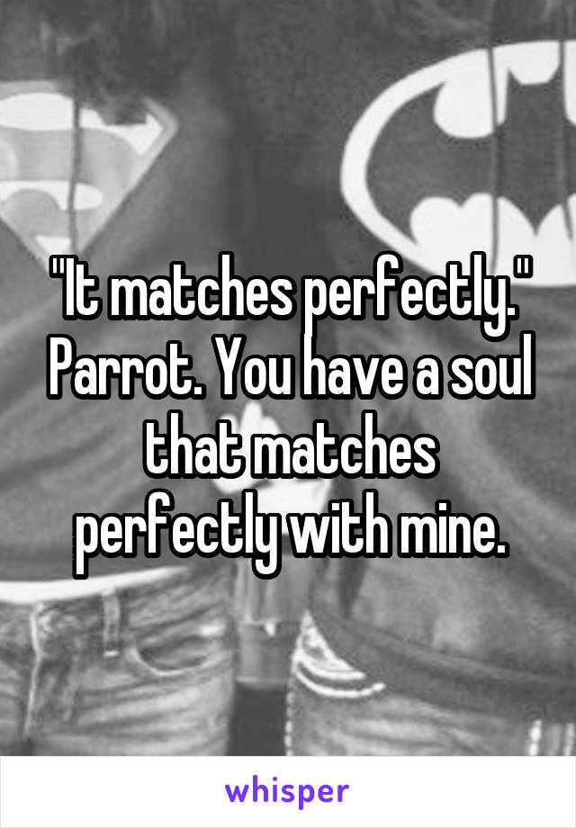 "It matches perfectly." Parrot. You have a soul that matches perfectly with mine.