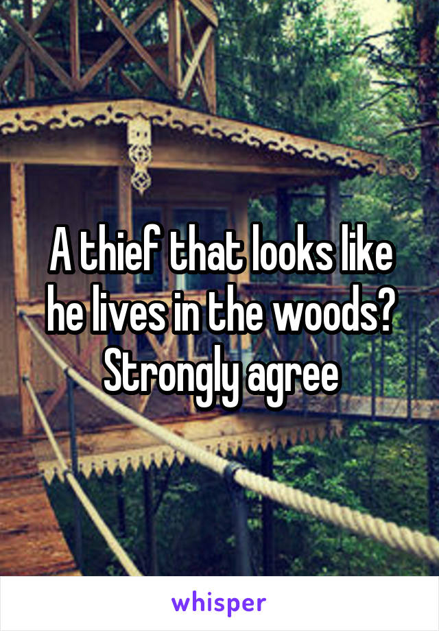 A thief that looks like he lives in the woods? Strongly agree