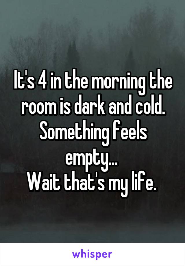 It's 4 in the morning the room is dark and cold. Something feels empty... 
Wait that's my life. 