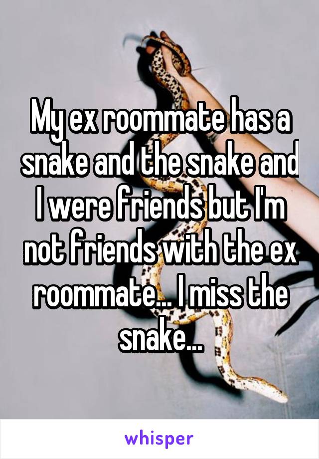 My ex roommate has a snake and the snake and I were friends but I'm not friends with the ex roommate... I miss the snake...