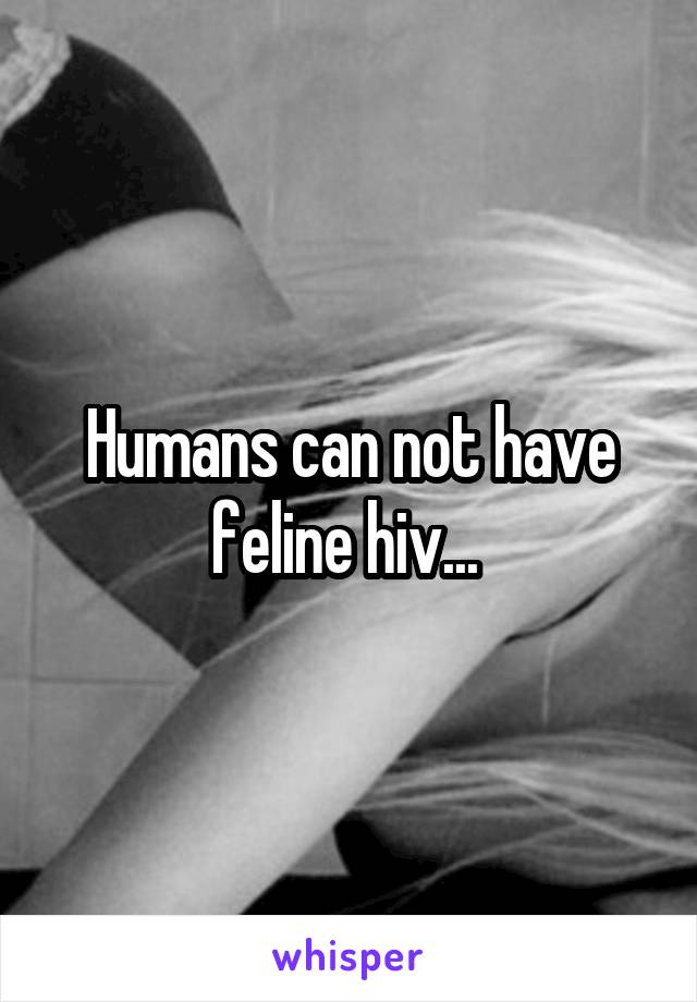Humans can not have feline hiv... 