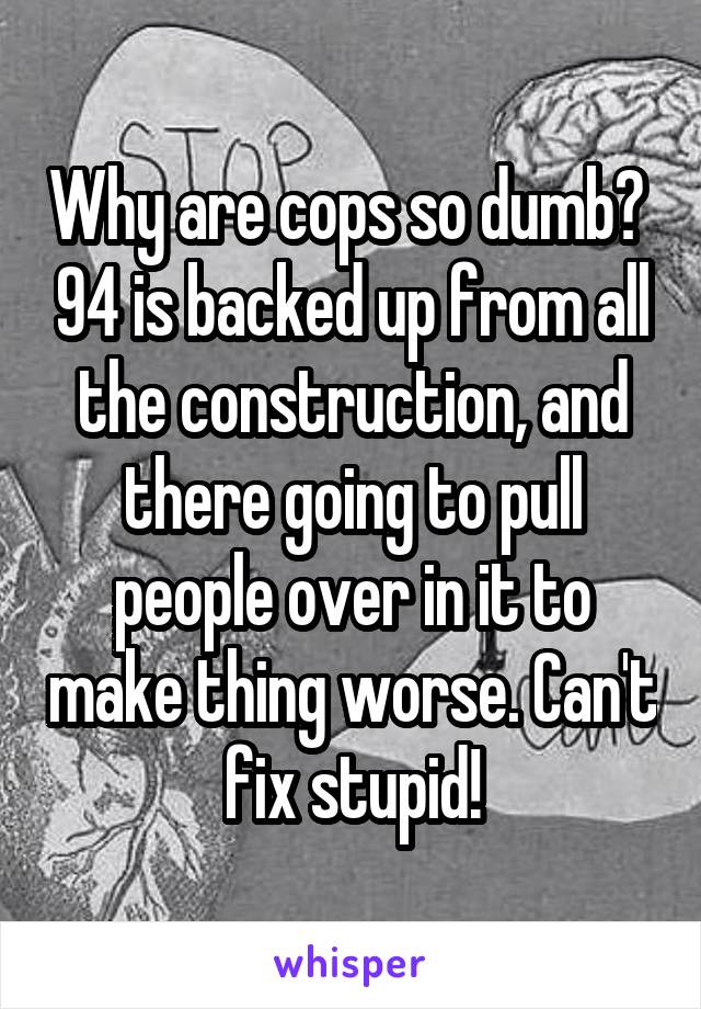 Why are cops so dumb?  94 is backed up from all the construction, and there going to pull people over in it to make thing worse. Can't fix stupid!