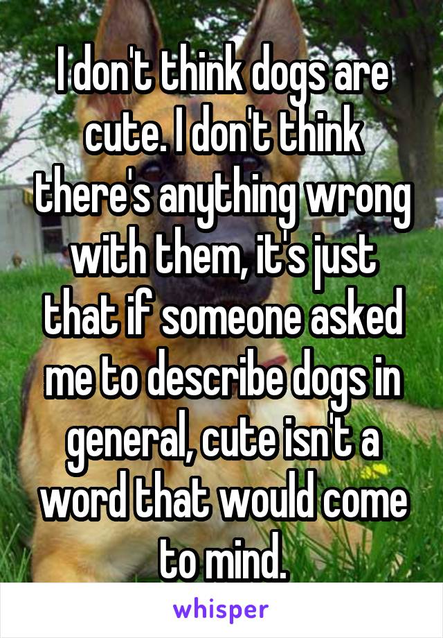 I don't think dogs are cute. I don't think there's anything wrong with them, it's just that if someone asked me to describe dogs in general, cute isn't a word that would come to mind.