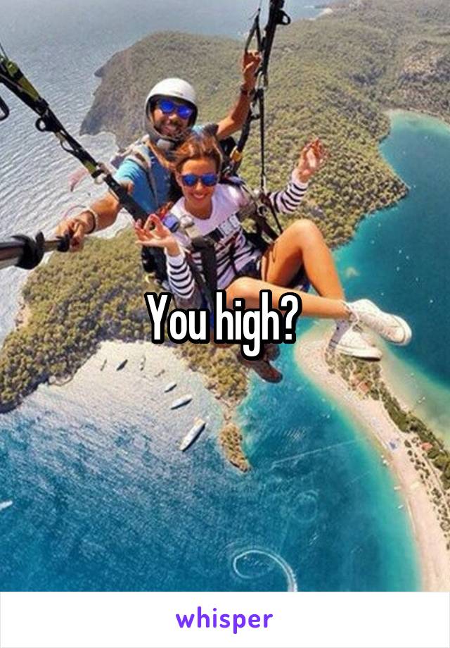 You high? 
