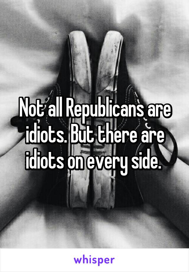 Not all Republicans are idiots. But there are idiots on every side. 
