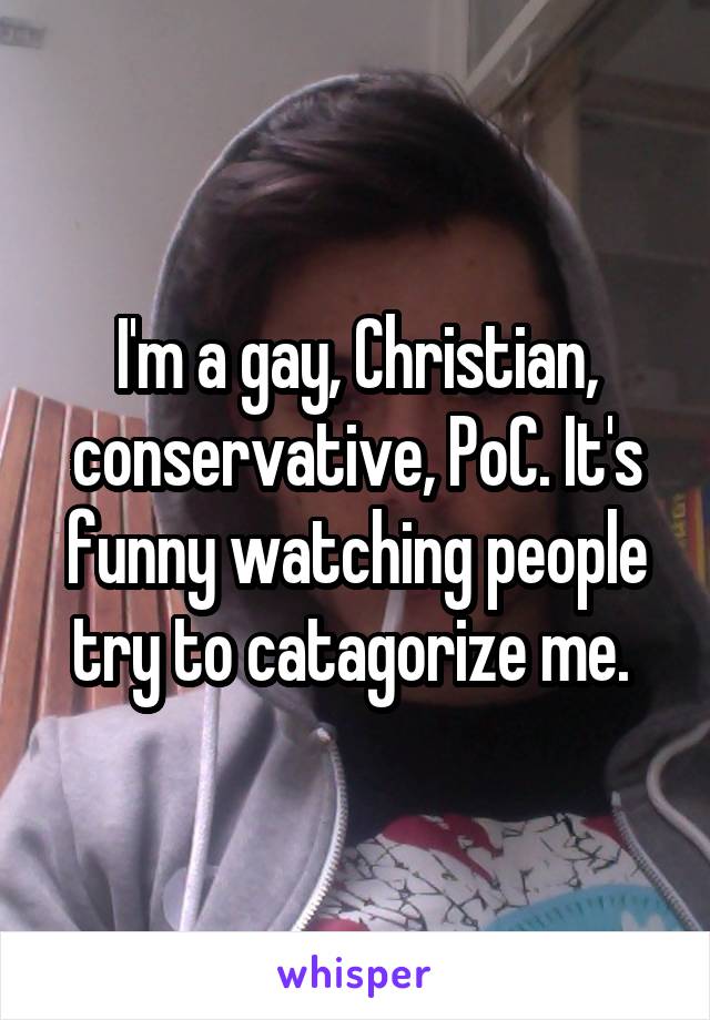 I'm a gay, Christian, conservative, PoC. It's funny watching people try to catagorize me. 