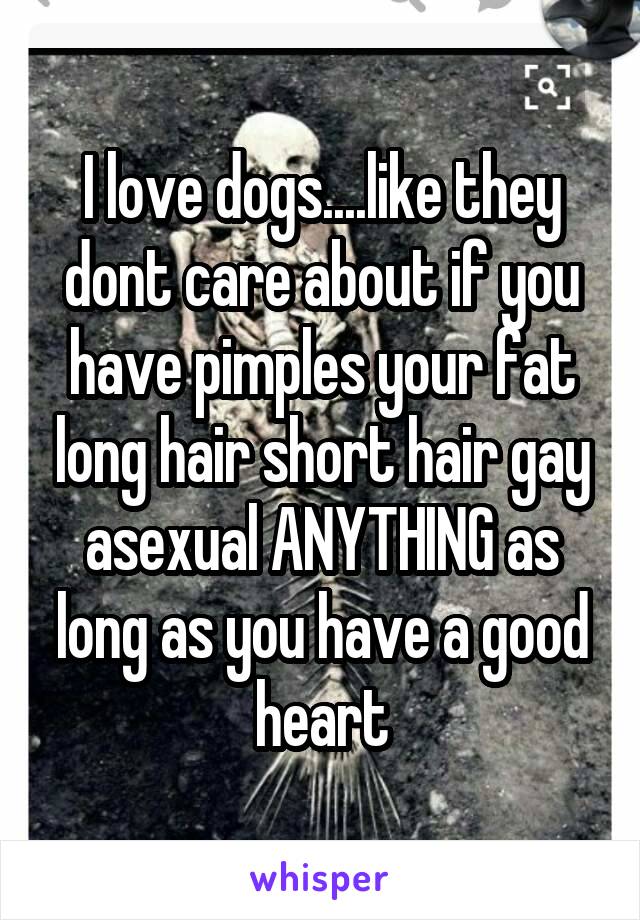 I love dogs....like they dont care about if you have pimples your fat long hair short hair gay asexual ANYTHING as long as you have a good heart