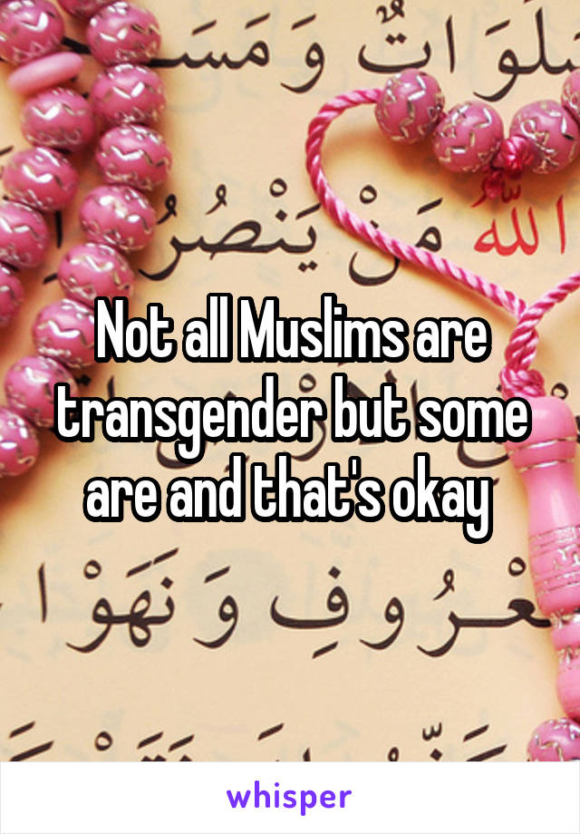 Not all Muslims are transgender but some are and that's okay 