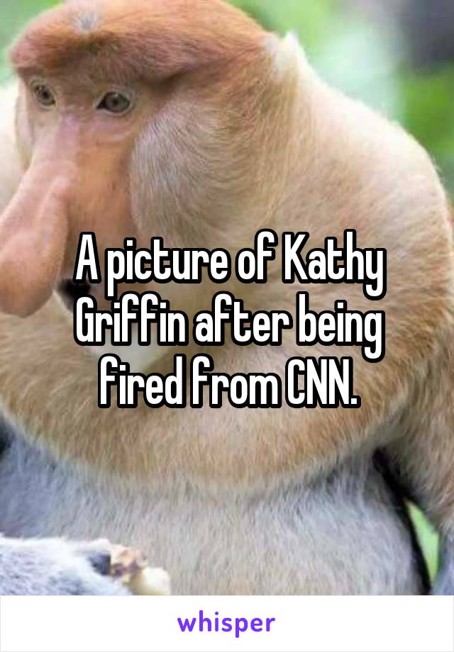 A picture of Kathy Griffin after being fired from CNN.